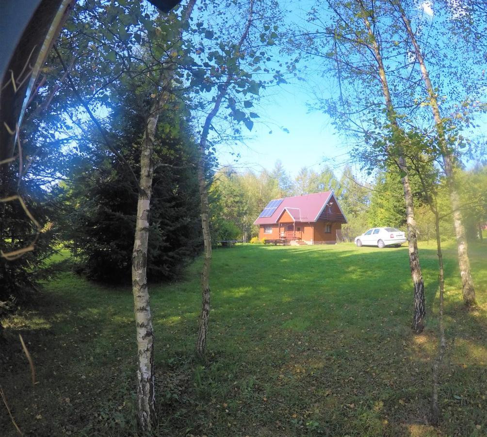 Domek Nad Strumieniem Baligród Exterior foto